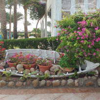 фото из отзыва ID 2723598