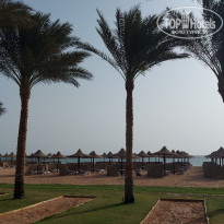 фото из отзыва ID 2723598