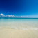 фото из отзыва ID 2723593
