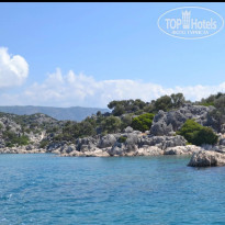 фото из отзыва ID 2723636