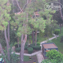 фото из отзыва ID 2723642