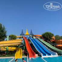 фото из отзыва ID 2723650