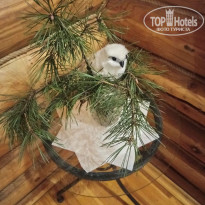 фото из отзыва ID 2723700