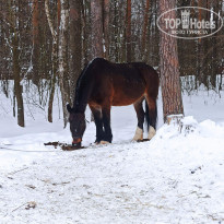 фото из отзыва ID 2723700