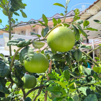 фото из отзыва ID 2723716