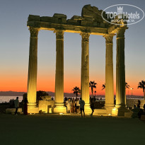 фото из отзыва ID 2723754