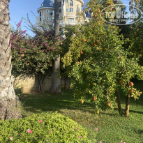 фото из отзыва ID 2723759