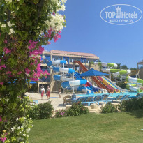 фото из отзыва ID 2723783