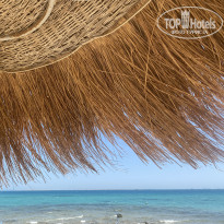 фото из отзыва ID 2723783