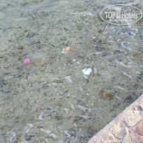 фото из отзыва ID 2723821