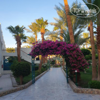 фото из отзыва ID 2723821