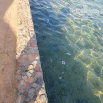 фото из отзыва ID 2723821