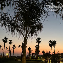 фото из отзыва ID 2723838