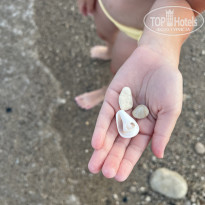 фото из отзыва ID 2723843