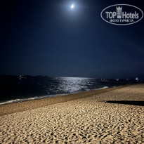 фото из отзыва ID 2723843