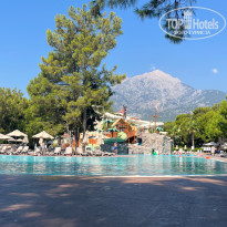 фото из отзыва ID 2723843