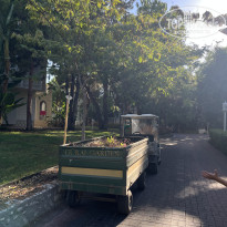 фото из отзыва ID 2723843