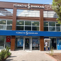 фото из отзыва ID 2723849