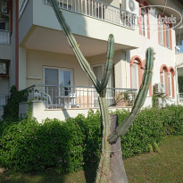 фото из отзыва ID 2723849