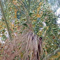 фото из отзыва ID 2723849