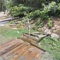 фото из отзыва ID 2723874