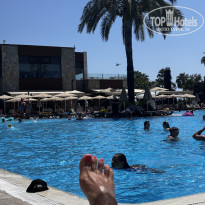 фото из отзыва ID 2723883