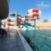 фото из отзыва ID 2723941