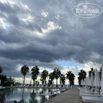 фото из отзыва ID 2723944