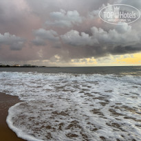 фото из отзыва ID 2723944