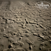 фото из отзыва ID 2723944