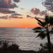 фото из отзыва ID 2723944