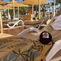 фото из отзыва ID 2723960