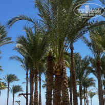 фото из отзыва ID 2723960