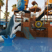 фото из отзыва ID 2724056