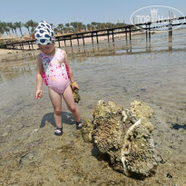 фото из отзыва ID 2724098