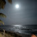 фото из отзыва ID 2724141