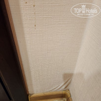 фото из отзыва ID 2724143