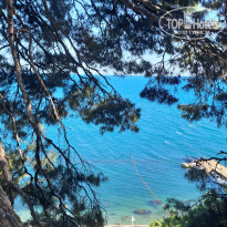 фото из отзыва ID 2724167