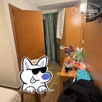 фото из отзыва ID 2724195