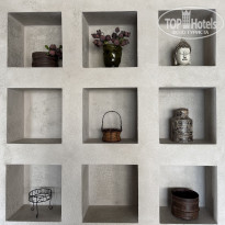 фото из отзыва ID 2724206