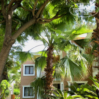 фото из отзыва ID 2724210