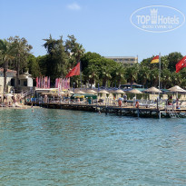 фото из отзыва ID 2724218