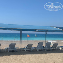 фото из отзыва ID 2724226