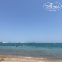 фото из отзыва ID 2724045