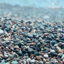 фото из отзыва ID 2724307