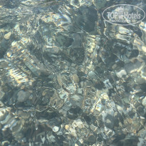 фото из отзыва ID 2724307