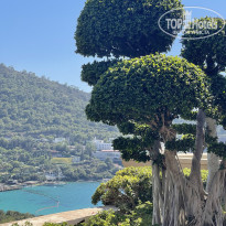 фото из отзыва ID 2724309