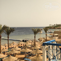 фото из отзыва ID 2724313