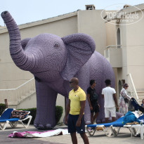 фото из отзыва ID 2724313