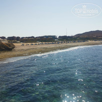 фото из отзыва ID 2724341